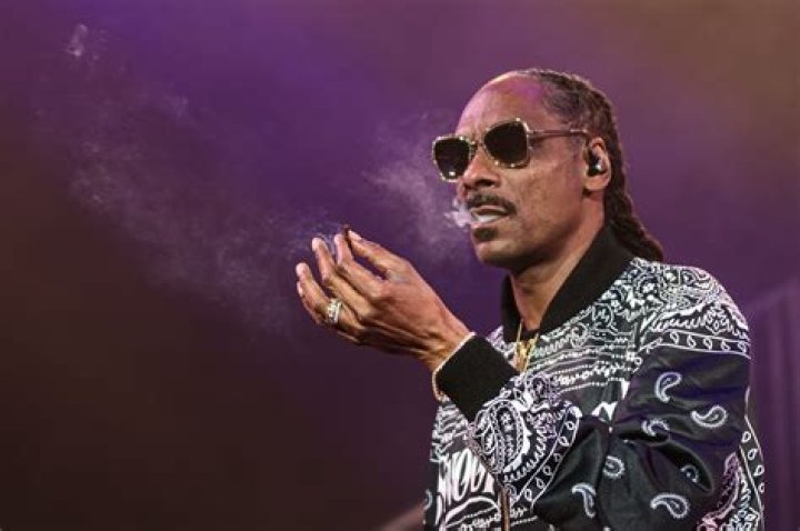 Exploring the Cosmic Collaboration: Futurama and Snoop Dogg
