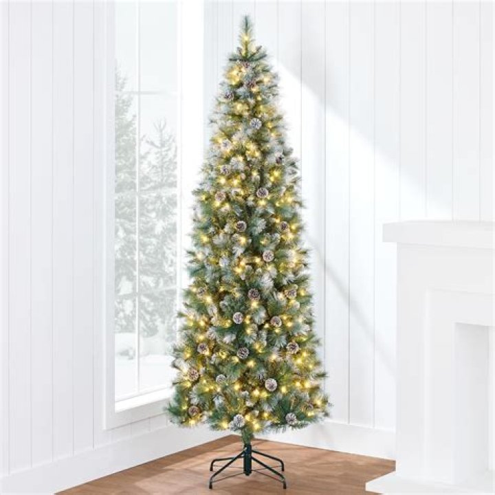 Finding the Perfect Xmas Tree Sale Near Me: A Comprehensive Guide