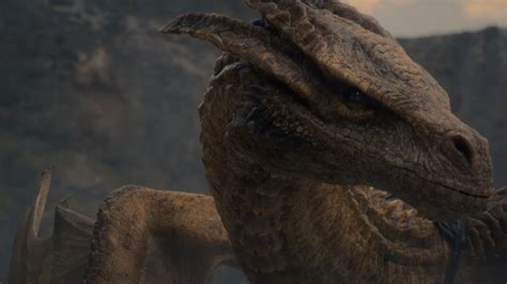 Unraveling the Fate: How Does House of the Dragon End in the Book?