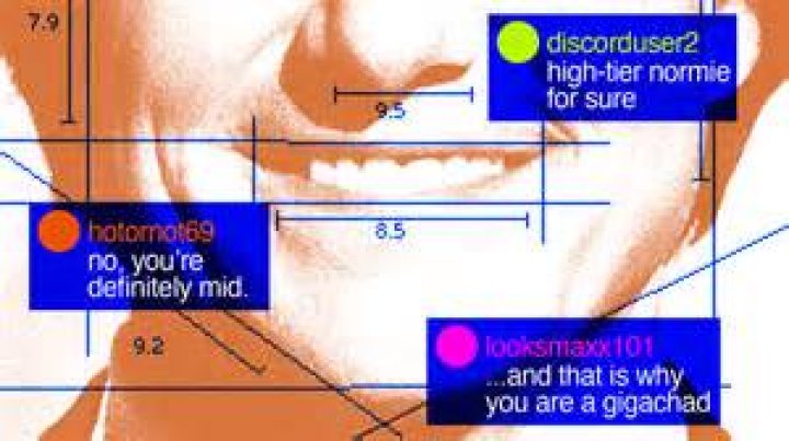 What is Chadlite? A Comprehensive Guide to Understanding Its Features and Benefits