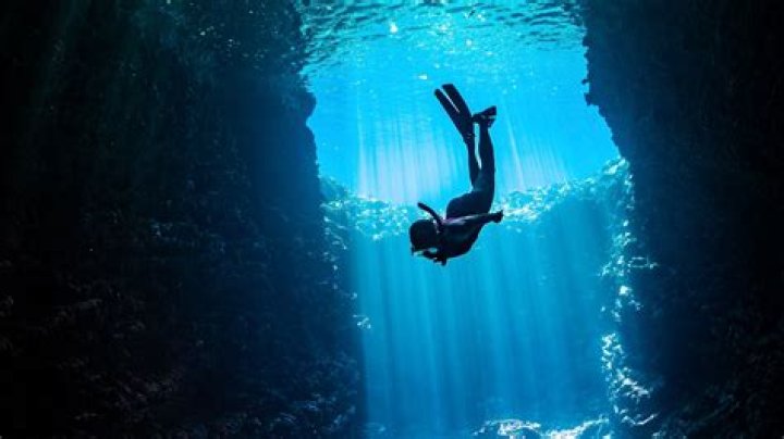 Yes King Original Video Must-See: A Deep Dive into the Viral Sensation